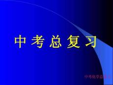 人教版九年级化学中考总复习PPT课件[1]