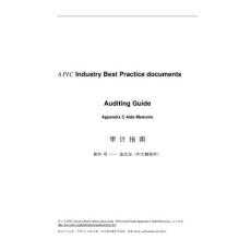 APIC Audit Guide Appendix C Aide Memoire中文翻译件