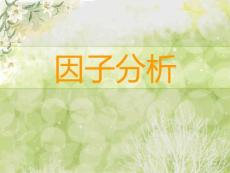 因子分析 数学模型
