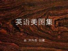唯美英语美图集【15】（附个人翻译）