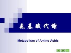 氨基酸代谢(评估)