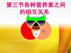 营养配餐员 第三节各种营养素之间的相互关系