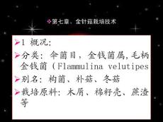 食用菌栽培與加工技術7