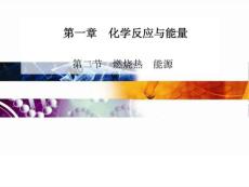 高中化學 人教版選修4 課件第一章 第二節 燃燒熱 能源...