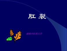 肛裂【PPT-精品】