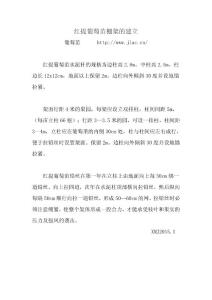 红提葡萄苗棚架的建立