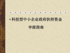 科技型中小企业政府扶持资金