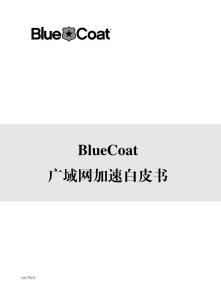 数据中心加速