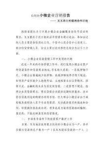 信用社小微企业营销报告