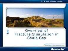 頁(yè)巖氣裂縫模擬