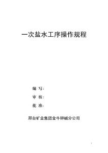 一次盐水操作规程