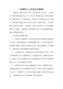 安全自查報(bào)告
