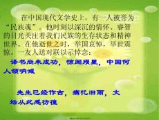 《记念刘和珍君》课件鲁人必修三.ppt