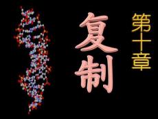 第十章 基因復制