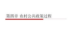 第四章 农村公共政策过程 农村发展与管理的政策 教学课件