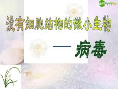 七年級(jí)生物上冊(cè) 沒有細(xì)胞結(jié)構(gòu)的微小生物—病毒課件 人教新課標(biāo)版