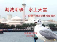 2007年广东狮子湖国际休闲度假区规划定位报告(ppt 48)