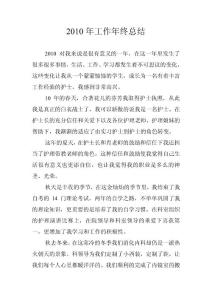 2010工作总结