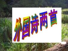 [九年級(jí)語(yǔ)文]yw湖南省郴州市第五完全中學(xué)九年級(jí)語(yǔ)文《外國(guó)詩(shī)兩首·蟈蟈與蛐蛐·夜》課件