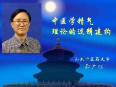 中醫(yī)學精氣理論邏輯建構(gòu)
