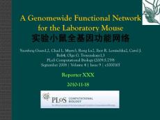 實驗小鼠全基因功能網絡