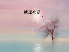 糖尿病足PPT