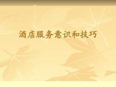 酒店服務(wù)意識(shí)和技巧