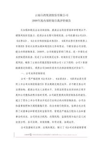 云南白藥集團(tuán)股份有限公司2008內(nèi)部控制報(bào)告