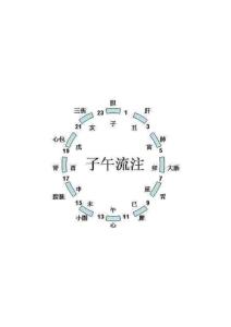 子午流注圖