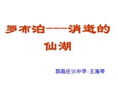 初中语文优质课件《罗布泊，消逝的仙湖》