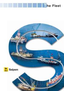 TheSaipem完整參數(shù)