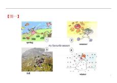 小学英语口语大赛看图说话图片