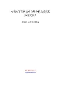 电视湘军品牌战略市场分析及发展趋