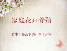 家庭花草養殖技能[寶典]