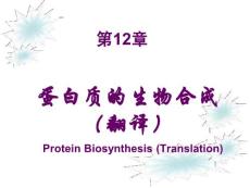 第12章蛋白质生物合成