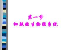 細胞的生物膜系統