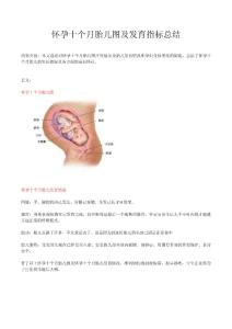 懷孕十個(gè)月胎兒圖及發(fā)育指標(biāo)總結(jié)