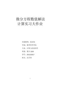 微分方程數(shù)值解法計(jì)算實(shí)習(xí)