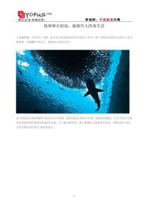 另類(lèi)旅游：我要睡在海底