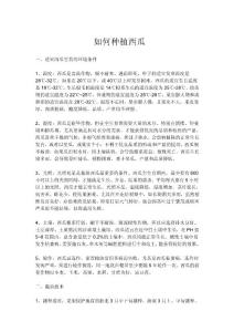 如何种植西瓜