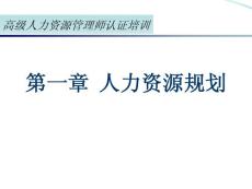 人力資源規(guī)劃(一級(jí)）