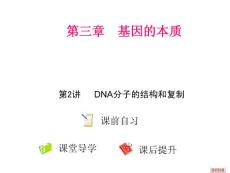 高三生物复习课件·必修2《遗传与进化》第三章  基因的本质  第2讲  DNA分子的结构和复制