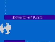 脊髓灰質(zhì)