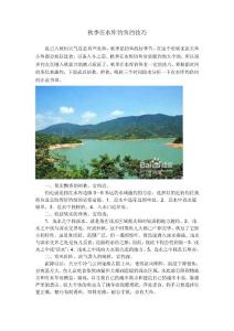 秋季在水库钓鱼的技巧