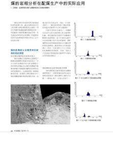 煤的岩相分析在配煤生产中的实际应用