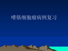 嗜铬细胞瘤病例