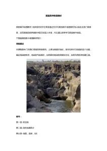 美國高中地理教材