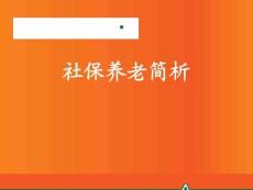 社保养老简析