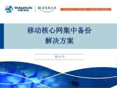 移動核心網集中備份解決方案