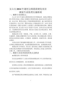 測量專業監理實施細則.docx1(1)